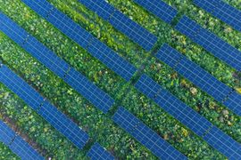 Grupa AB uruchomiła farmę fotowoltaiczną pod Wrocławiem