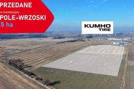 Inwestycja za ponad 2 miliardy złotych! Koreański gigant Kumho Tire dokupuje teren inwestycyjny w Opolu