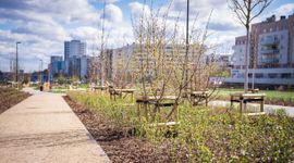 WARSZAWA: Pierwszy w kraju park na stropie tunelu drogowego