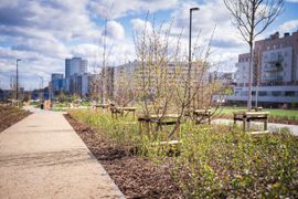 WARSZAWA: Pierwszy w kraju park na stropie tunelu drogowego