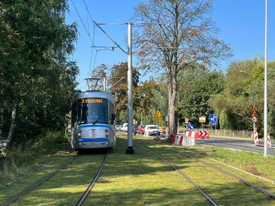 Po zielonym torowisku i pośród drzew. Tak będą jeździć tramwaje między centrum a Leśnicą
