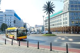 Rozpoczął się remont słynnej palmy na rondzie de Gaulle'a w Warszawie