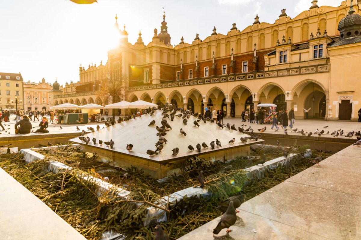 Fot. Jan Graczyński / krakow.pl