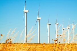 Polenergia planuje kolejną farmę wiatrową. Stanie w gminie Kostomłoty