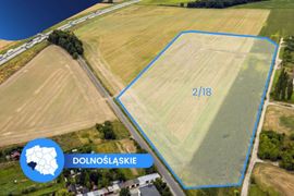 Kolejna globalna firma z branży automotive zainwestuje na Dolnym Śląsku!