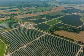 W Polsce powstanie największa farma fotowoltaiczna w Europie!