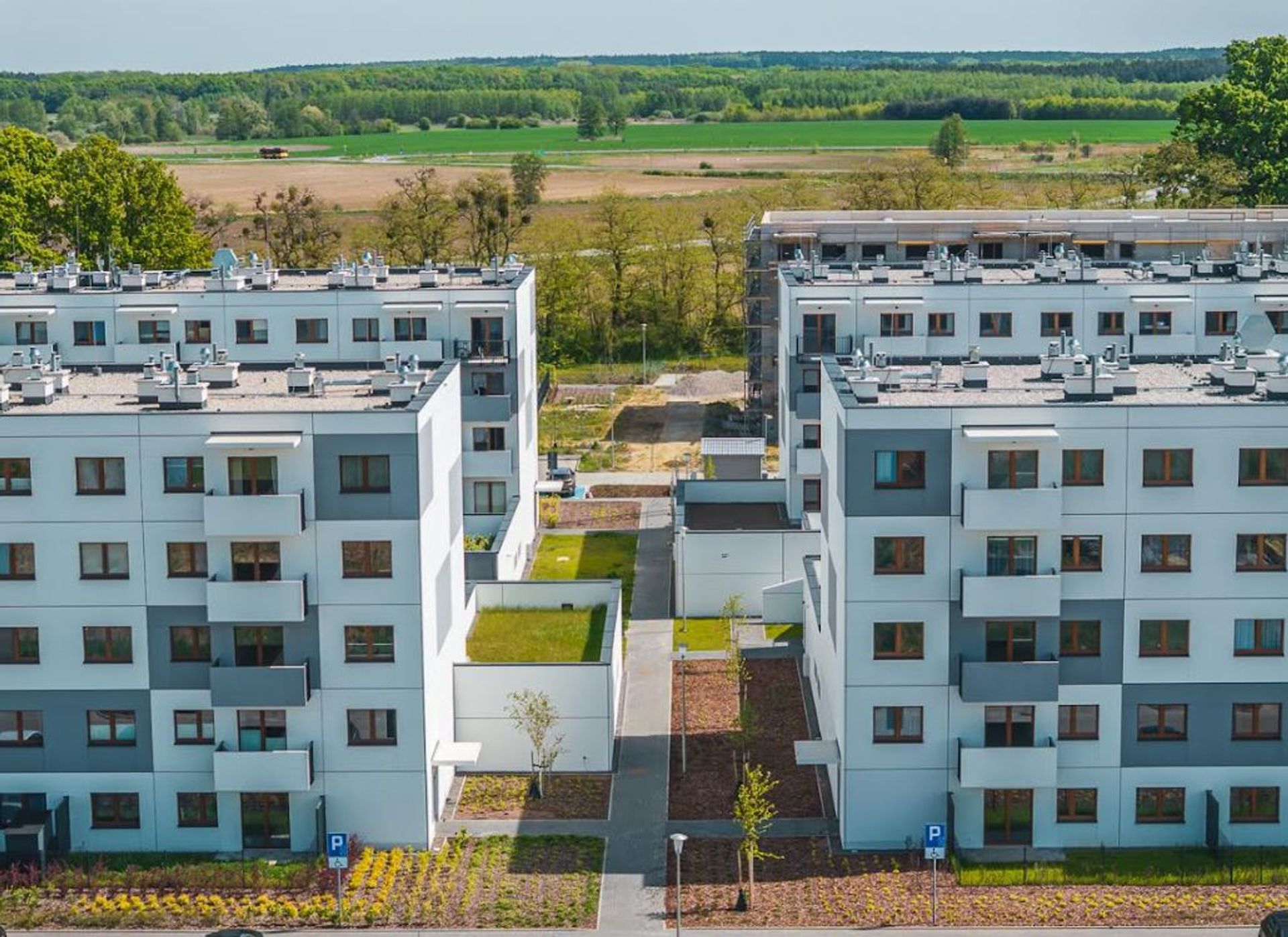 Adres czy metraż? Coraz więcej Polaków wybiera przedmieścia zamiast centrum