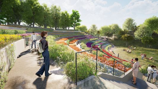 Na poznańskiej Cytadeli powstanie kolorowy Ogród Miododajny