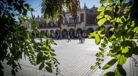 Miasto Kraków ma pozwolenie na budowę dla projektu "Posadźmy drzewa na Rynku Głównym"