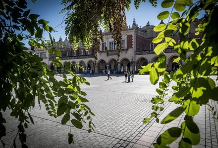Miasto Kraków ma pozwolenie na budowę dla projektu "Posadźmy drzewa na Rynku Głównym"