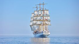 Nowy żaglowiec szkolny dla Polski. Uniwersytet Morski w Gdyni rusza z przetargiem na następcę "Daru Młodzieży"