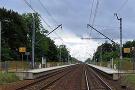 "Wiedenka" dla szybszych pociągów – perony dostosowane zostaną do prędkości 160 km/h