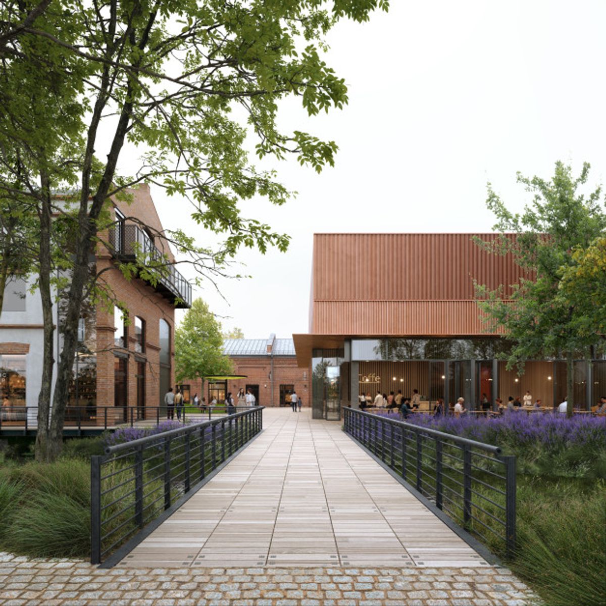 Wizualizacja: Plankton