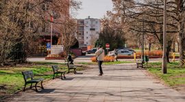 W Łodzi powstaje zielona oaza. Miasto chce walczyć z wyspami ciepła w centrum