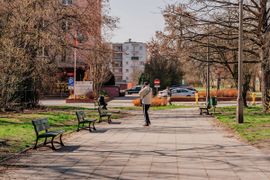 W Łodzi powstaje zielona oaza. Miasto chce walczyć z wyspami ciepła w centrum