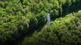 PGE Dystrybucja pozyskała od NFOŚiGW blisko 1,4 mld zł na modernizację sieci dystrybucyjnej