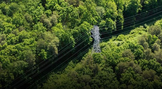 PGE Dystrybucja pozyskała od NFOŚiGW blisko 1,4 mld zł na modernizację sieci dystrybucyjnej